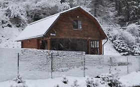 Гостевой дом Секвойя